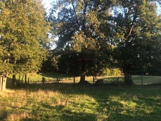 Terreno residenziale in Nogueira de Ramuín