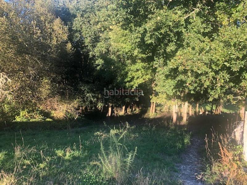 Foto c32f1e7e-dc0e-4fbc-a661-94bb9c423beb. Terreno residenziale in Nogueira de Ramuín