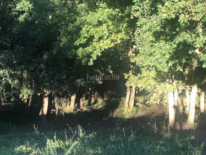 Foto de7e80ba-128f-4ffb-bfbf-c569538acbde. Terreno residenziale in Nogueira de Ramuín