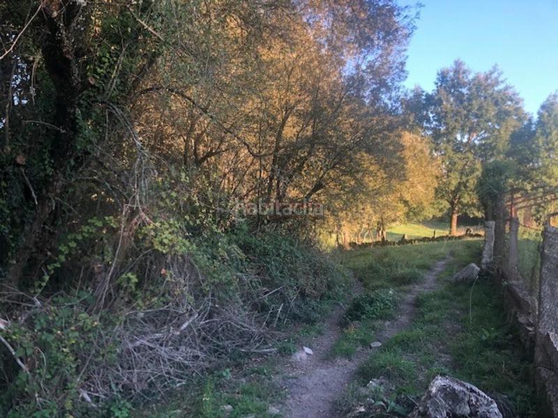 Foto fcf6355b-f819-4820-a4b1-d960e28f4dec. Terreno residenziale in Nogueira de Ramuín