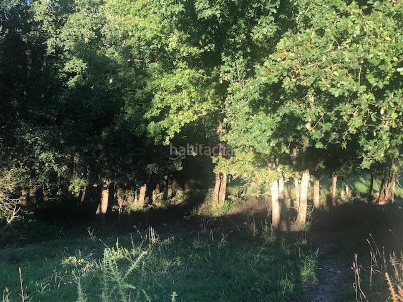 Foto 08cd4df8-ed30-486b-a8c7-845f1d0ba74a. Wohngrundstück in Nogueira de Ramuín