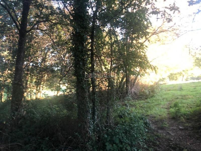 Foto 115c77ac-3eeb-4ea8-b99d-6dc903f82fe0. Wohngrundstück in Nogueira de Ramuín