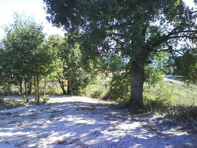 Foto 3fd35d9f-1262-40d4-916f-8d6afe9030d7. Wohngrundstück in Nogueira de Ramuín