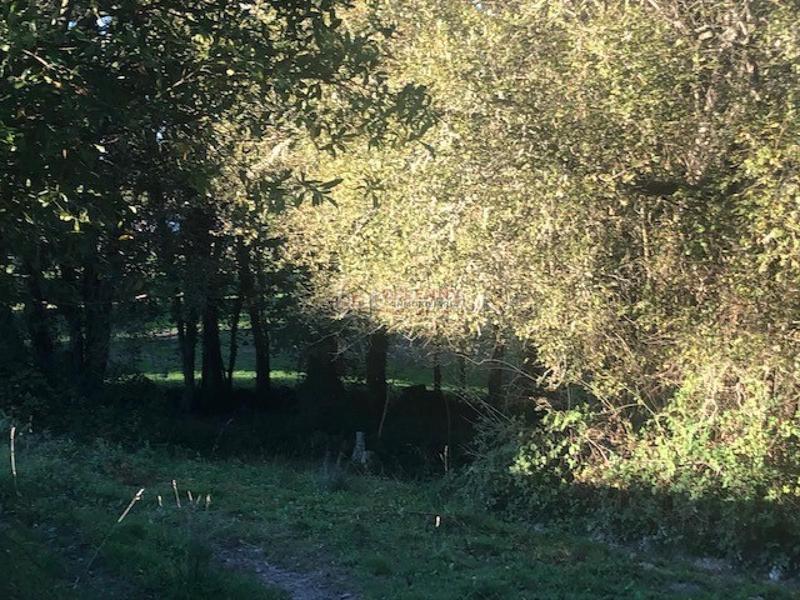 Foto 5fe7f5a4-1e1b-4823-b804-960b4b76d4ce. Wohngrundstück in Nogueira de Ramuín