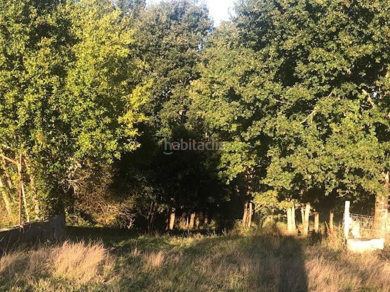 Foto 671e2ee3-3f68-4515-ba40-94c892602ee4. Wohngrundstück in Nogueira de Ramuín