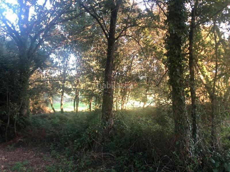 Foto aaa0c742-a90b-4f46-a596-cc3e9c5fdf33. Wohngrundstück in Nogueira de Ramuín