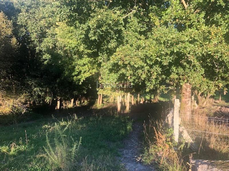 Foto d9ae3a1f-9172-4e82-be15-0af6a91122b4. Wohngrundstück in Nogueira de Ramuín