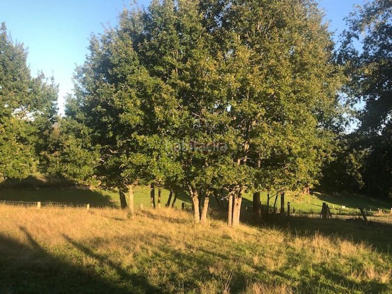 Foto dd94fea9-2cc2-4b7a-8088-b510c26f3e0d. Wohngrundstück in Nogueira de Ramuín