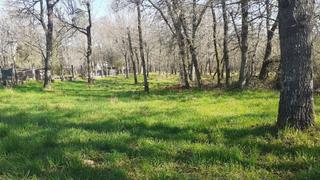 Terreny residencial a Paderne de Allariz