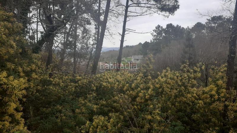 Foto 0bd8c1ba-462a-4978-a69c-5b24d4571498. Terrain résidentiel dans Barbadás