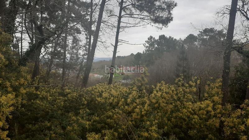 Foto f127a60c-33b2-4777-8200-57ac64ae9266. Terrain résidentiel dans Barbadás