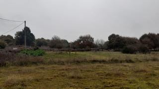 Terrain résidentiel à Vilamarín