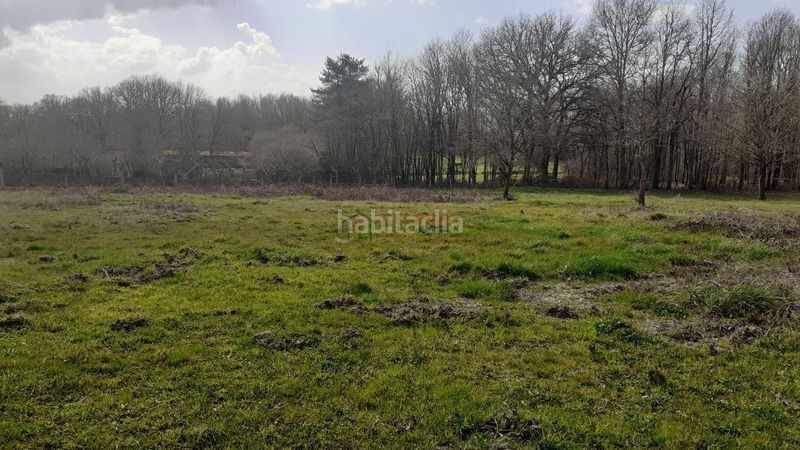 Foto b78f4338-3641-4e1e-b382-eab9d43b4294. Terreny residencial a Nogueira de Ramuín