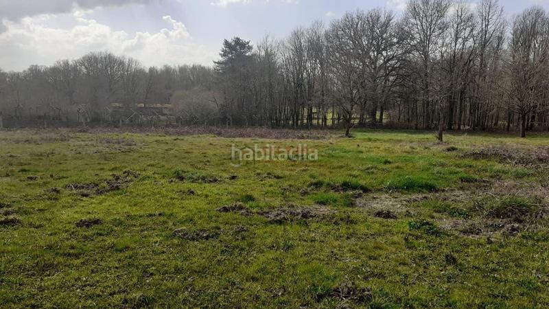 Foto 56cb31b3-30c6-4042-89fd-95570b6691e7. Terreno residenziale in Nogueira de Ramuín