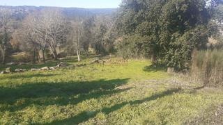 Terreny residencial a San Cibrao das Viñas