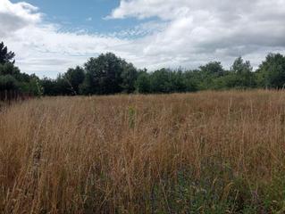 Residential Plot in Sarreaus