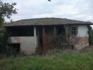 Mas à Pereiro de Aguiar (O)