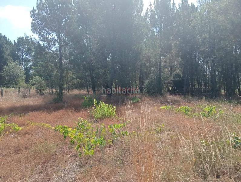 Foto 1483381d-a1b4-44aa-924e-82fe1695172e. Terreno residencial en San Cibrao das Viñas