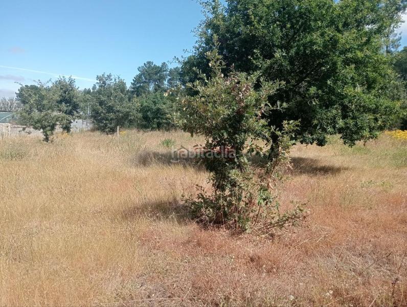 Foto 35e88a72-f88a-43c2-ae6f-a10f7c8c6a6e. Terreno residencial en San Cibrao das Viñas