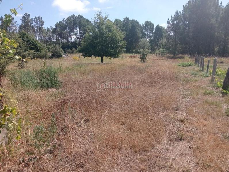 Foto 648721c1-ca95-48d0-a2c6-697ffee523ed. Terreno residencial en San Cibrao das Viñas