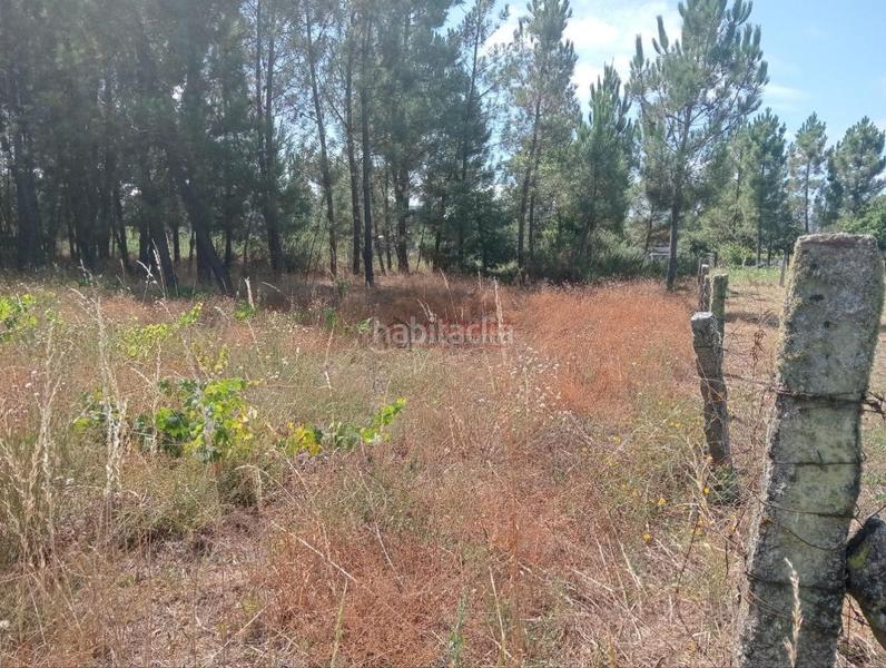 Foto 7dfe7f50-09c3-4160-bbe9-a25d6f326b0d. Terreno residencial en San Cibrao das Viñas