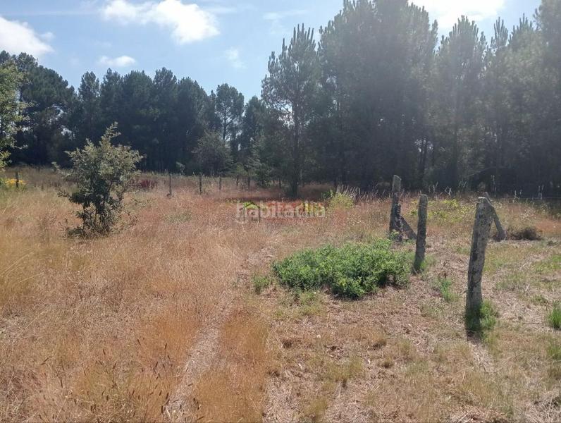 Foto c96e964b-bedc-452b-b36f-53e4ac9c5a57. Terreno residencial en San Cibrao das Viñas