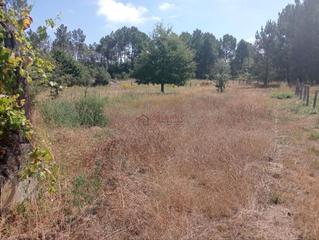 Terreny residencial a San Cibrao das Viñas