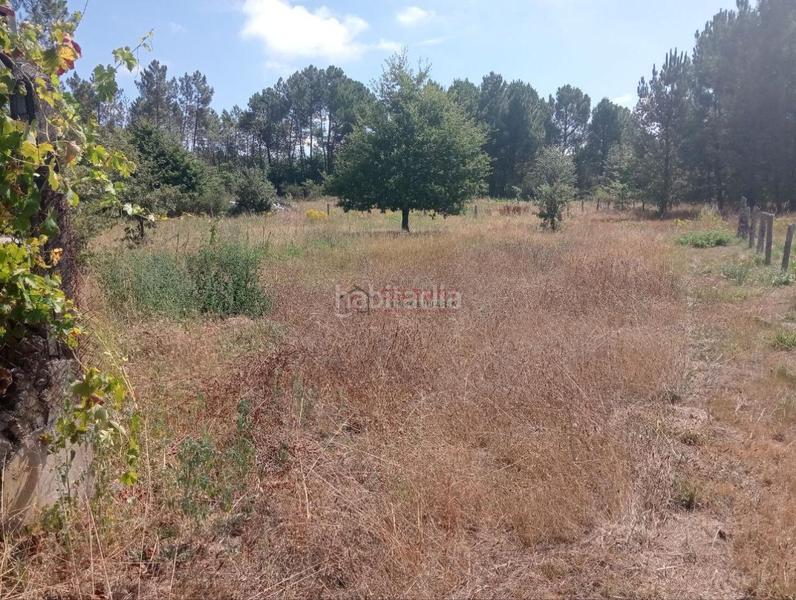 Foto c986bf81-7a2d-48ea-a300-da2513108154. Terreno residencial en San Cibrao das Viñas