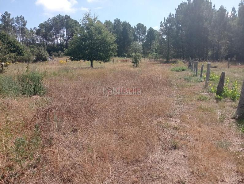 Foto f0aac76f-9363-46bb-bd61-c89ba656d873. Terreno residencial en San Cibrao das Viñas
