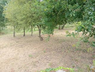 Terreny residencial a San Cibrao das Viñas