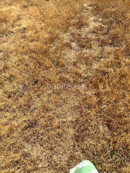 Foto d9a18ee0-0820-4323-918a-a785503c52b3. Terreno residenziale in Barrocanes Ourense