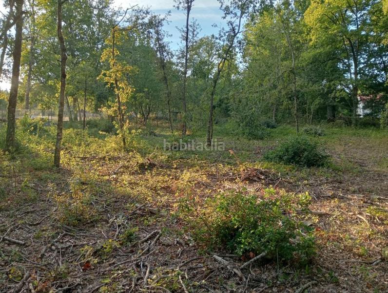 Foto 6b223bae-e1f0-445a-b12a-451cc8065960. Terreno residenziale in Nogueira de Ramuín