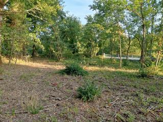 Terreno residenziale in Nogueira de Ramuín