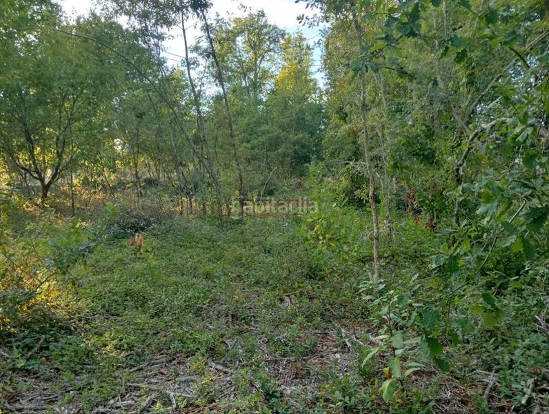 Foto 2332715d-88b3-4ed6-8047-e7b30e406bec. Terrain résidentiel dans San Cibrao das Viñas