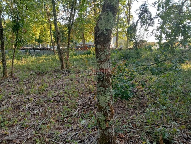 Foto 3ee47675-31c7-4f9b-ab10-9c8b382c709b. Terrain résidentiel dans San Cibrao das Viñas