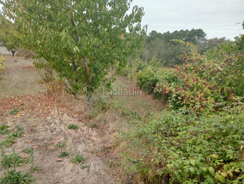 Foto 70035af6-1ffb-45b2-aaa8-93b5e791a1dd. Terrain résidentiel dans San Cibrao das Viñas