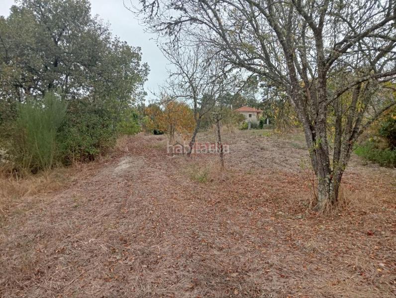 Foto 7424e772-b4ed-4022-bbe4-2c4c0acbbb8d. Terrain résidentiel dans San Cibrao das Viñas