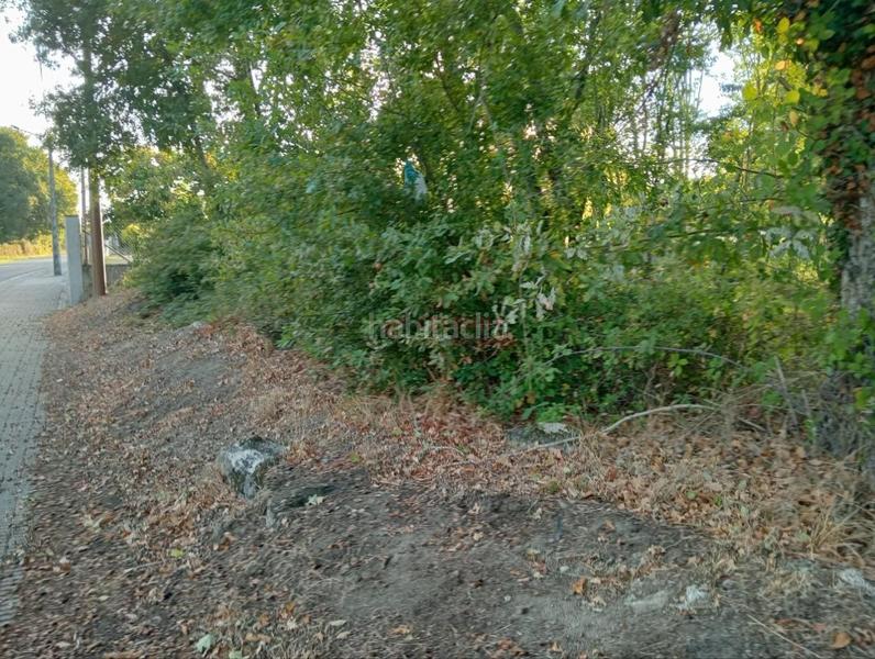 Foto 894ad57a-15ec-4532-ab65-c9247a480cc3. Terrain résidentiel dans San Cibrao das Viñas