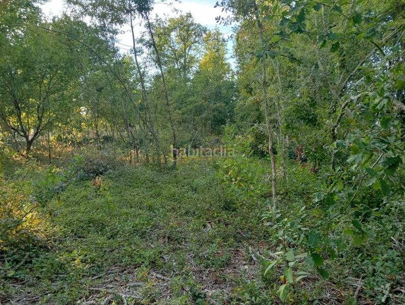 Foto bace9a4c-672d-4ebc-a66e-e21a22d71869. Terrain résidentiel dans San Cibrao das Viñas