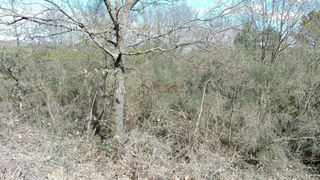 Rural plot in Pereiro de Aguiar (O)