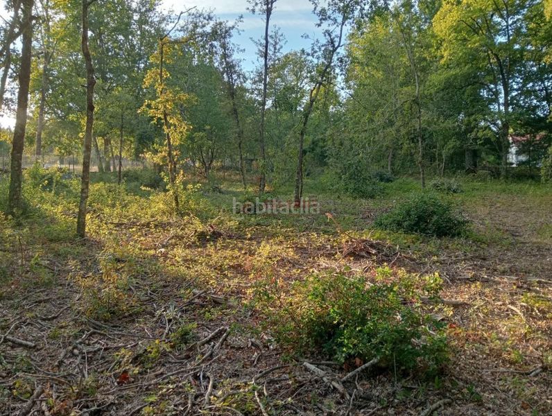 Foto 040a9578-1829-4c52-83bd-029f77bf6d2e. Wohngrundstück in San Cibrao das Viñas