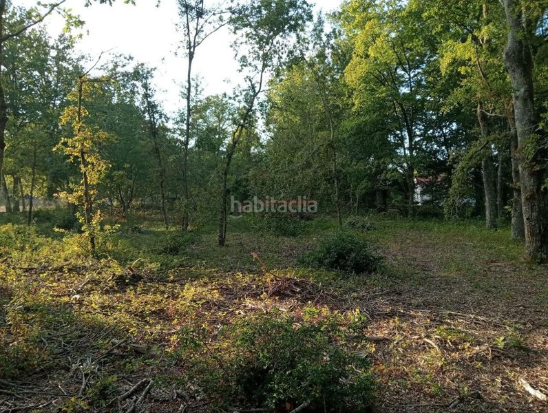 Foto 15afbc0c-1317-4308-93d1-f0c7e0a4d9ac. Wohngrundstück in San Cibrao das Viñas