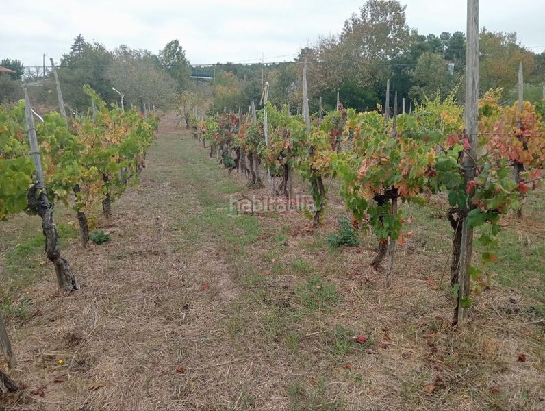Foto 47dd72d1-ed8c-4e5d-a390-626680c19c78. Wohngrundstück in San Cibrao das Viñas