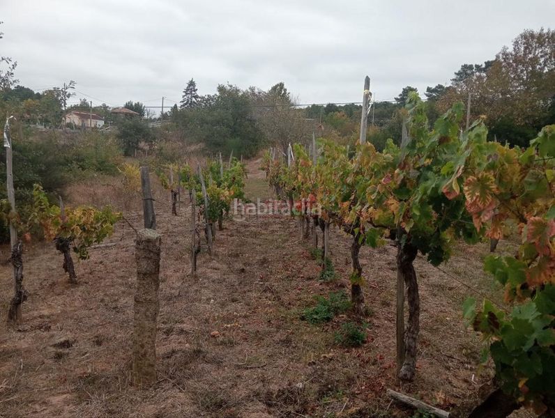 Foto 4a4b7e52-5abf-4ee7-8664-42c96b153252. Wohngrundstück in San Cibrao das Viñas