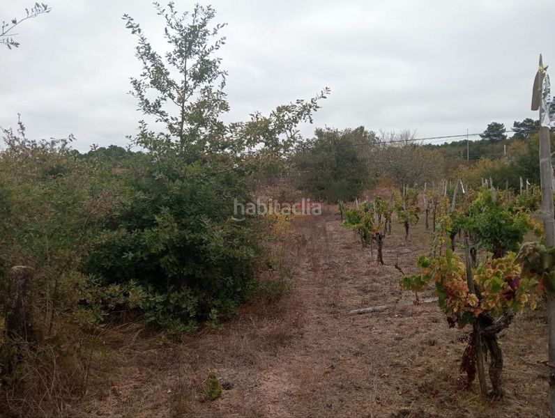 Foto 5235f657-b266-4eeb-af8e-2b19ab958097. Wohngrundstück in San Cibrao das Viñas