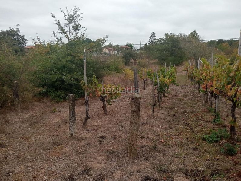 Foto 6009da3e-af3e-4d4b-a780-ce2f1890bc08. Wohngrundstück in San Cibrao das Viñas