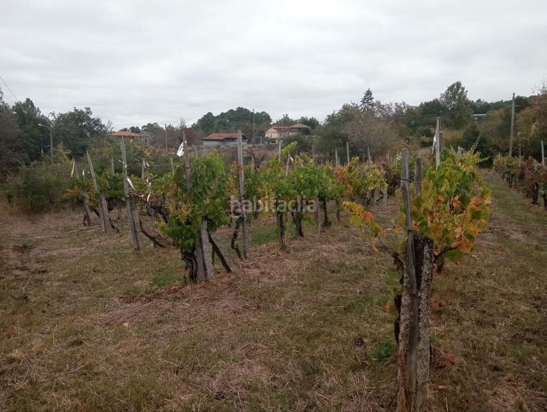 Foto 67b5a472-51ab-482a-8800-563893b86b3e. Wohngrundstück in San Cibrao das Viñas