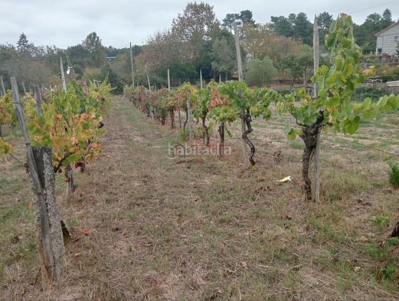 Foto 82de6a77-0609-4d3c-af3d-1bd78edb39d1. Wohngrundstück in San Cibrao das Viñas