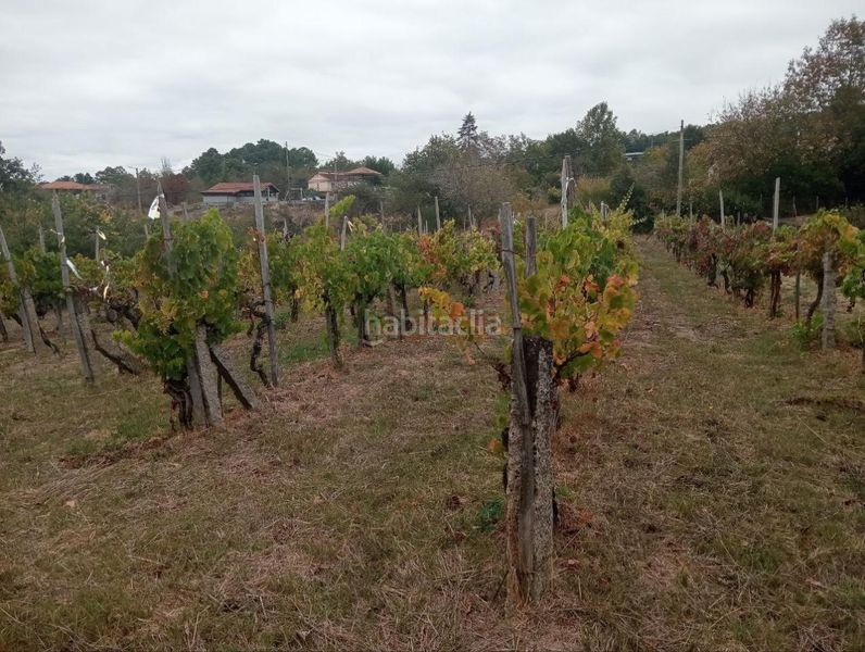 Foto b2b8db63-7fb9-4f65-bc0a-4d4583be11cf. Wohngrundstück in San Cibrao das Viñas