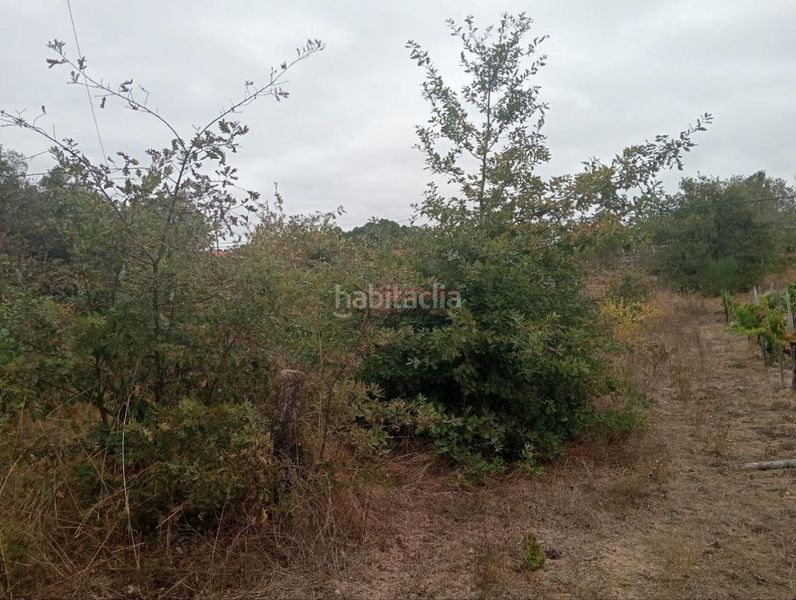 Foto c4764610-3d51-43fd-8a12-7a1bbbe6a9df. Wohngrundstück in San Cibrao das Viñas